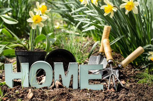 Build a Better Home with the Right Essentials