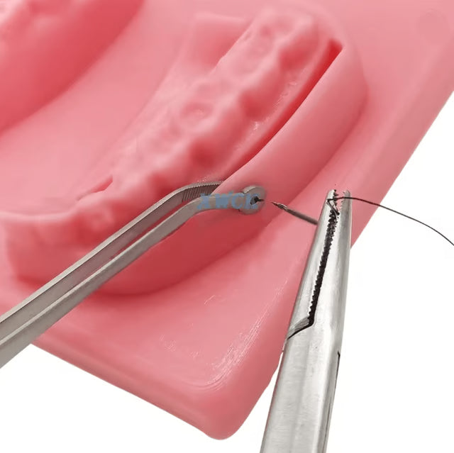 Precision Dental Surgical Tweezers Stainless Steel Forceps for Dental & Surgical Precision Work